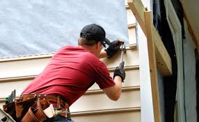 Best Steel Siding Installation  in Pima, AZ